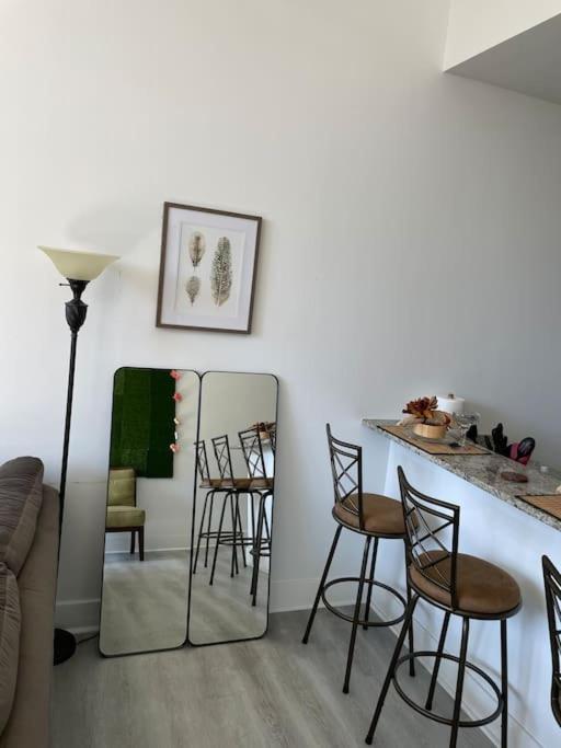 Cozy, High Rise, Large Studio Facing Downtown . Appartamento Baltimora Esterno foto